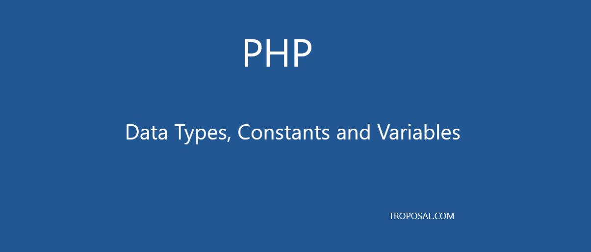 data type, constant, variable